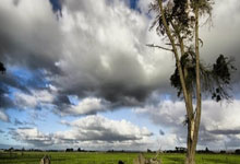 蜂鸟电竞官网：擎天白玉柱！科内特10中7拿到15分16板4助 正负值+21全场最高.