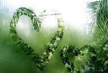 杜普兰蒂斯室内世锦赛夺冠 突破一项“不可思议的关卡”3-23 08：38.